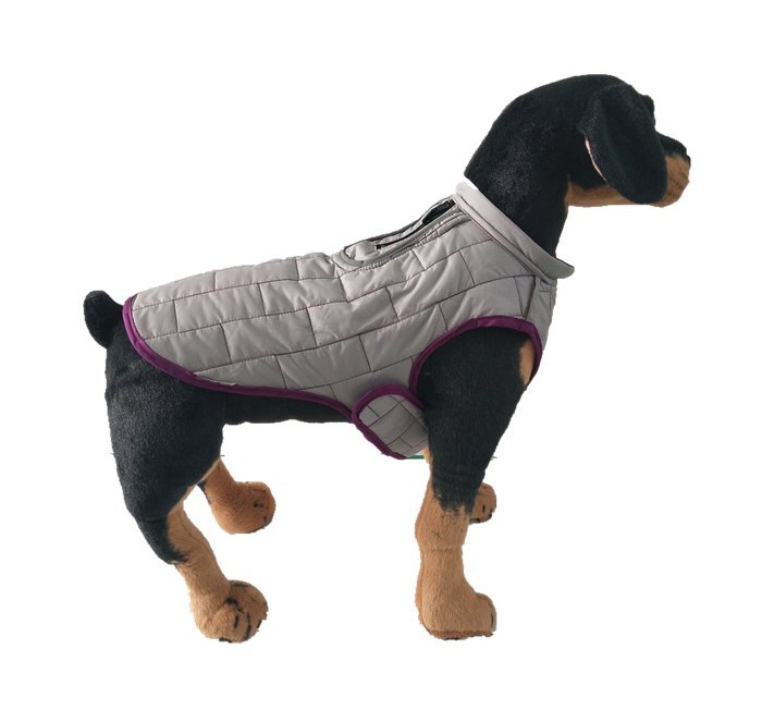 Warm Winter Dog Clothing High Quality New Patterns Clothes Modern Simple Cotton Novel Brushed Costume